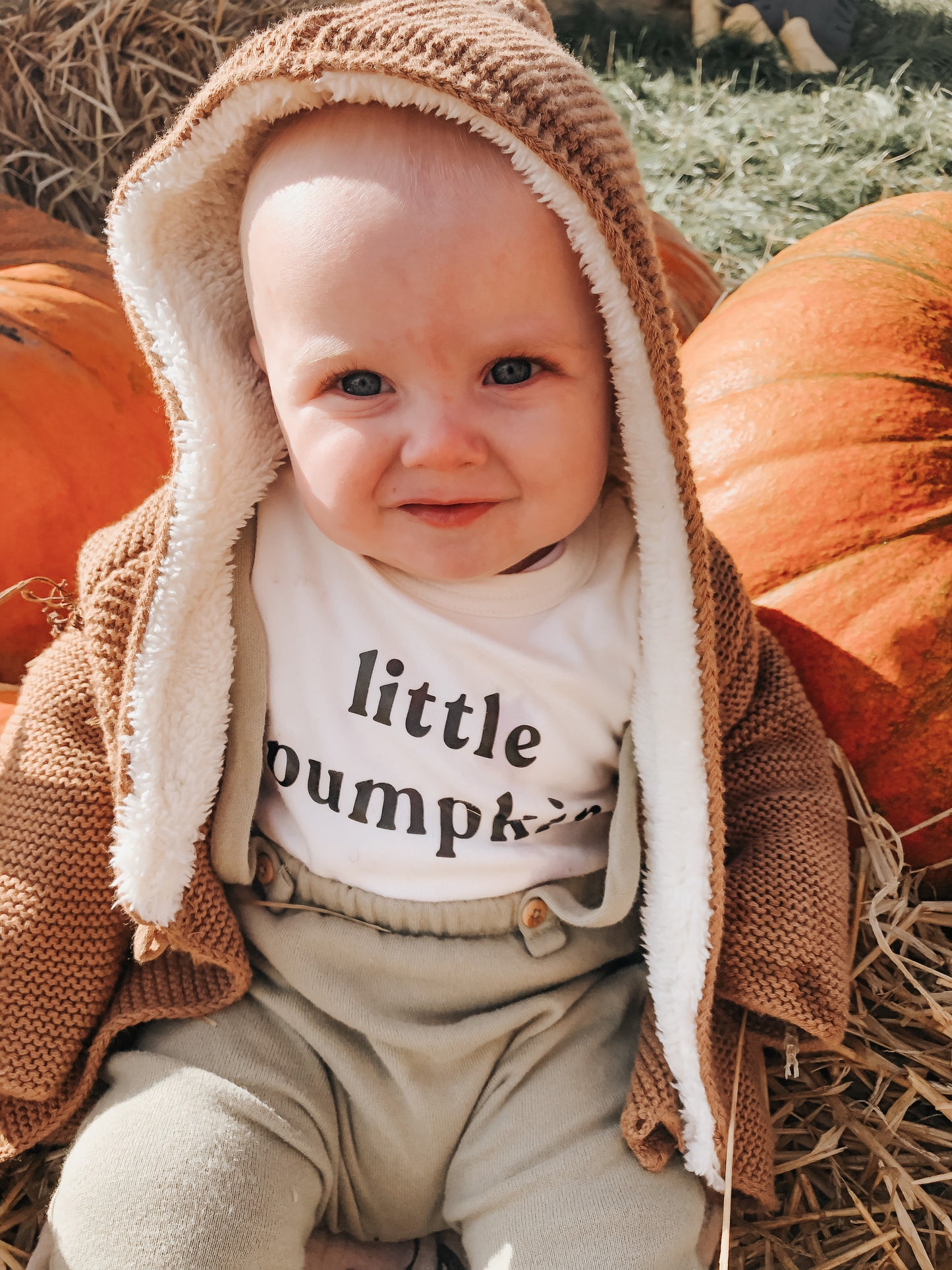 little pumpkin baby and toddler t-shirt